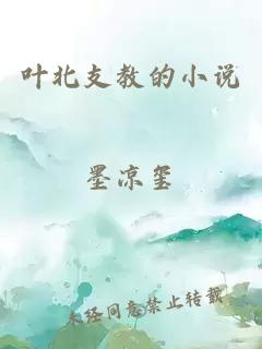 叶北支教的小说